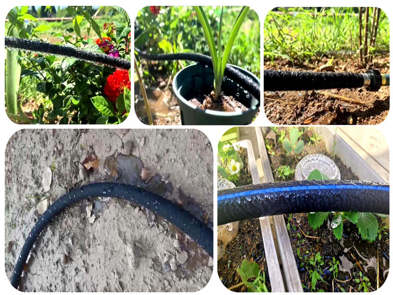 Primjena Nano Weapage cijevi za navodnjavanje u pjeskovitoj navodnjavanju tla