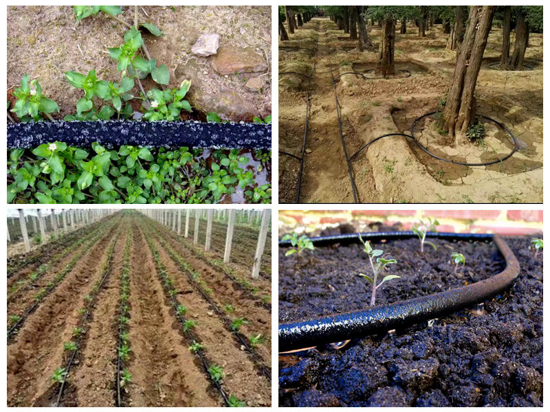 Kakvi su izgledi na tržištu za gumene nano cijevi za navodnjavanje?