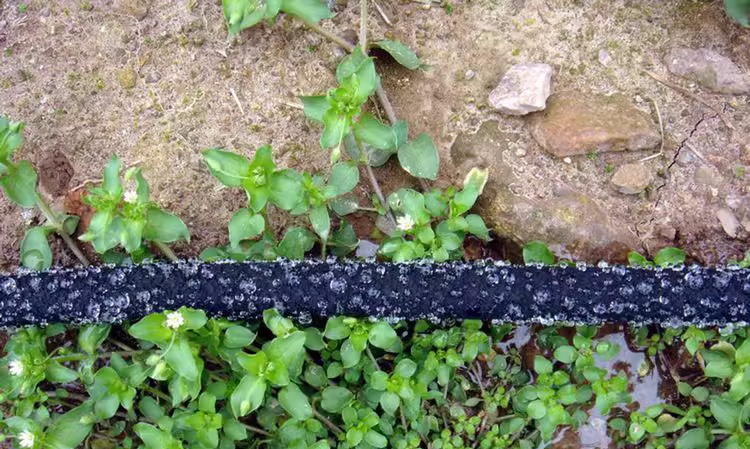 Zašto se gumeno crijevo može koristiti kao crijevo za natapanje?